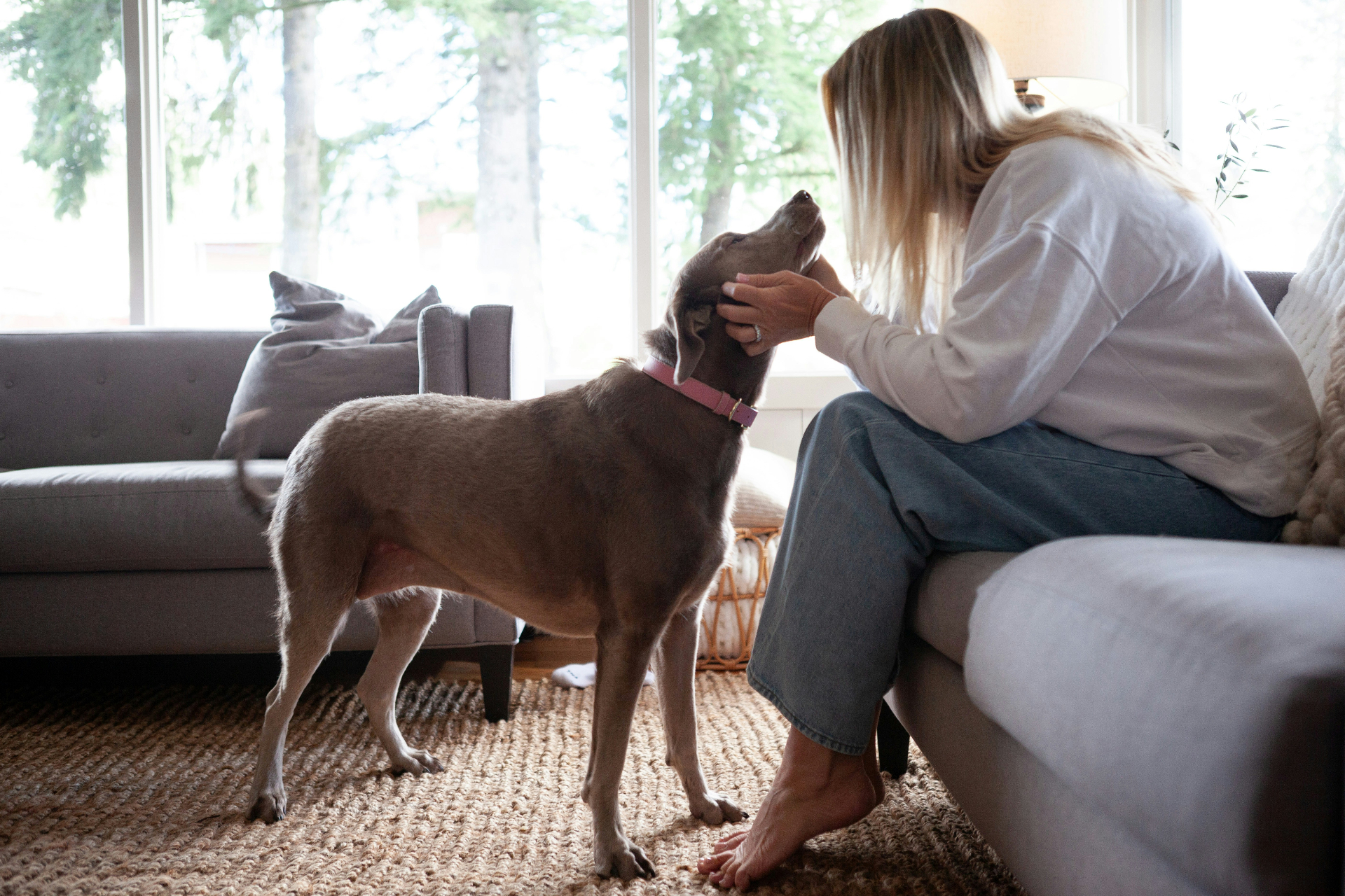 Woman gently petting a dog in a warm, sunlit living room