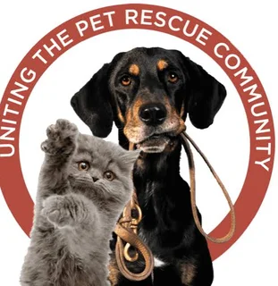 PACC911 logo